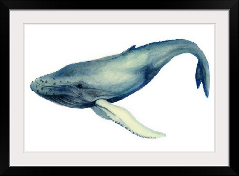 «The Whale's Song I» par Grace Popp, reproduction d'art, H 24 po x l 32 po x P 1 po, Cadre noir