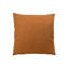 Housse de coussin et insert de coussin carré en chêne de cayenne-16245531