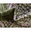 Indoor/Outdoor Gianenrico Area Rug Forest Colour-34980895