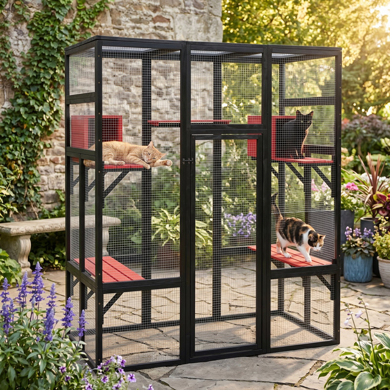 Enceinte d'extérieur pour chat, cage d'extérieur pour chat avec plateformes et condos, boîte de fenêtre pour chat, Noir