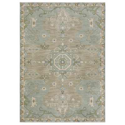 Graicyn Machine Woven Oriental Area Rug