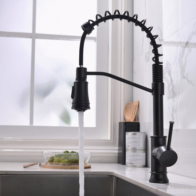 Robinet de cuisine noir en acier inoxydable à poignée simple avec douchette extractible