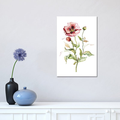 Wild Poppy by Carol Robinson - Print on Canvas