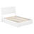 Avdesh Solid Wood Sleigh Trundle Extra Bed-1789888718-1789888563