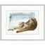 Inka Print