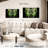 Adella Green Buddha-107948255