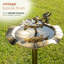 Bain d’oiseaux inspiré de la nature Mayhew-1043056476-1043056479