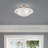 Aneudi Glass Semi Flush Mount-1285821922-1285821122
