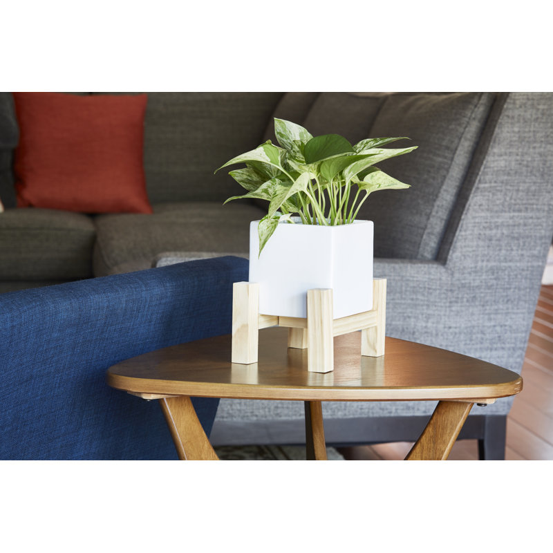Pot à fleurs d'intérieur en céramique avec support en bois