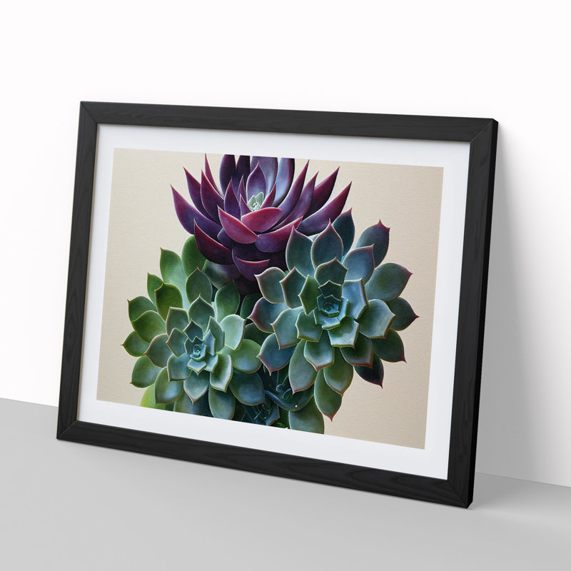 Watercolour Succulent Plant Vol.2 - Framed Print, Black, 46cm H x 64cm W