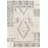 Angad Southwestern Flatweave Wool Area Rug in Gray/Cream-1659954240