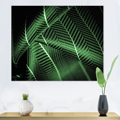 " Deep Green Silk Fabric with a Thin White Stripe I " Color Photography Print