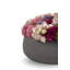 Ariane Sedum Arrangement-907699577