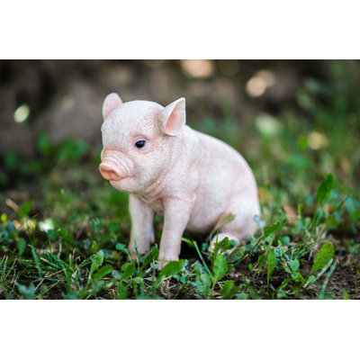 Sitting Baby Pig Statue