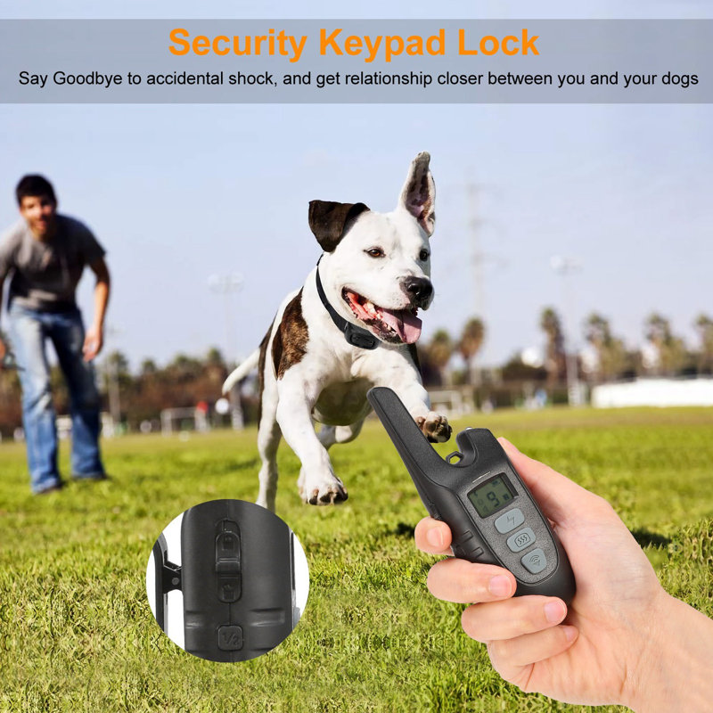 Dog Training Collar
