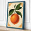 Orange Study Botanical 1 Piece Wrapped Canvas Wall Art-1488145748-1488145757