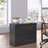 Durable Lateral File Cabinet with , 2 Drawer and Lock, Storage Cabinet for Hanging Files Letter/Legal/A4-2110045324