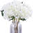 Hydrangea Arrangement-1105606459