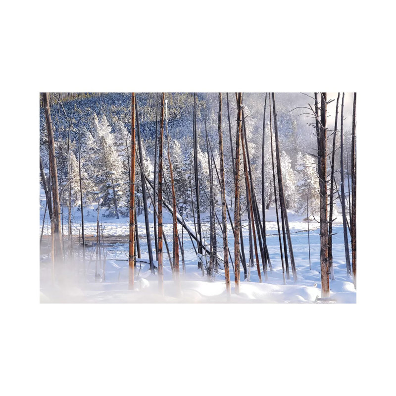 Steamy View 1 Piece Wrapped Canvas Wall Art, 20.32cm H x 30.48cm W x 1.91cm D