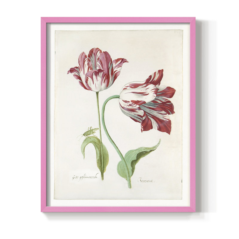 Deux tulipes II, reproduction encadrée - bois massif, H 30 po x l 24 po, Rose