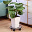 Support pour plante Meendert