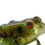 Statue de grenouille américaine en métal vert