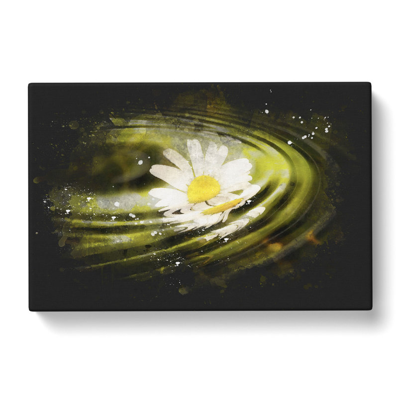 White Daisy Vol.4 Paint Splash - Wrapped Canvas Print, 35cm H x 50cm W x 3cm D