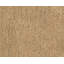 Sprouts Wool Area Rug in Beige-40705259