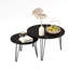 Ensemble de 2 tables basses gigognes-79441821