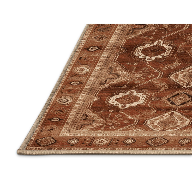 Tapis brun lavable à la machine, Rectangle de 5 pi x 8 pi