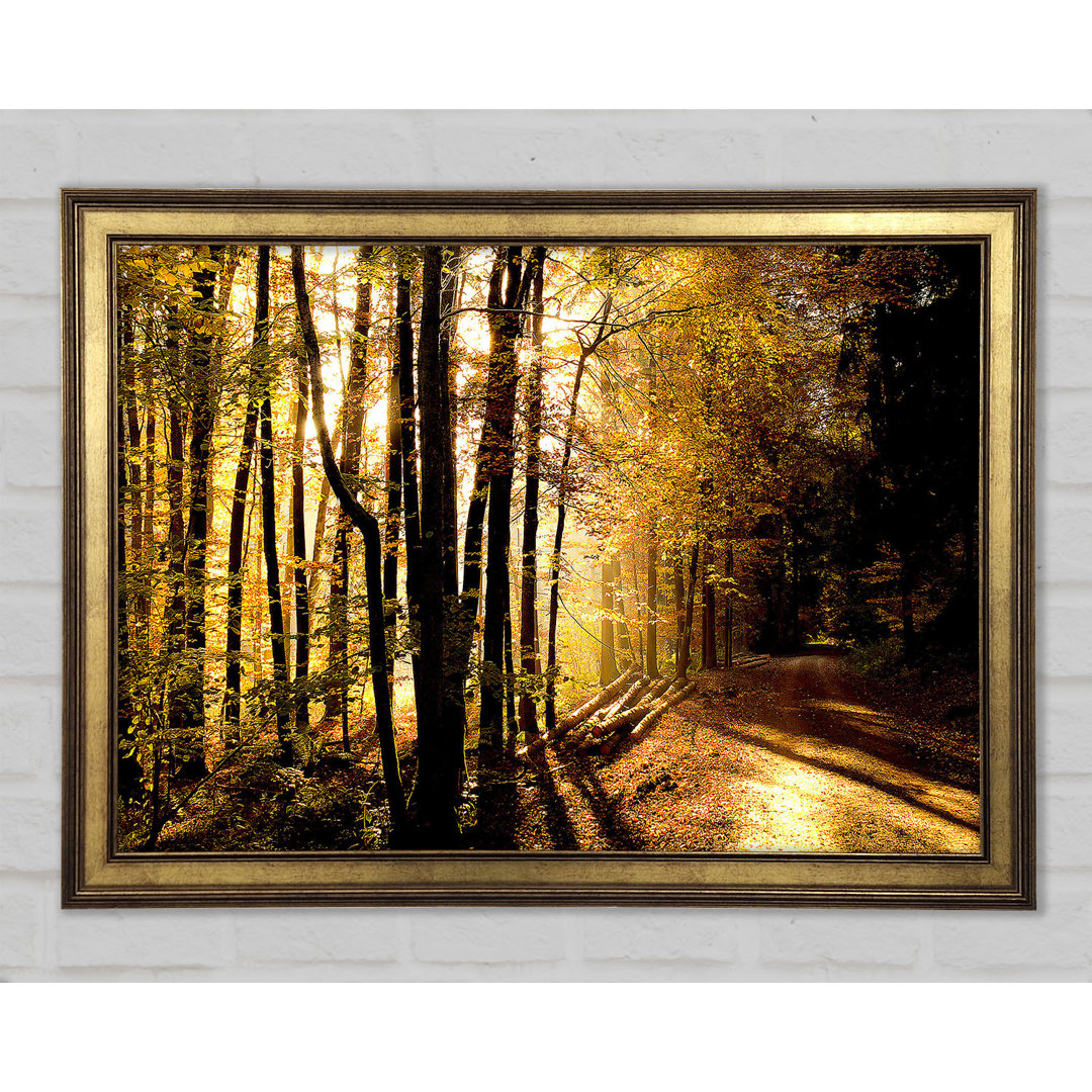 Beautiful Forest Road Autumn - Einzelne Bilderrahmen Kunstdrucke