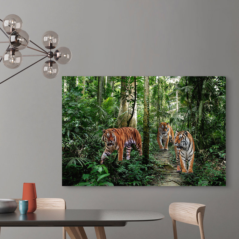 Bengal Tigers - Wrapped Canvas Print, 60cm H x 80cm W x 4cm D