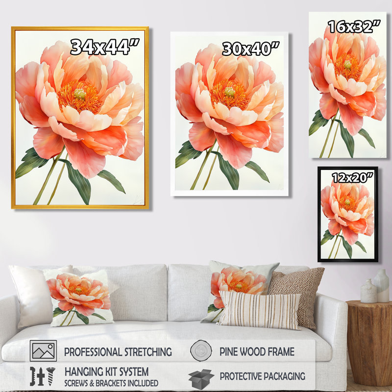 «Vibrant Coral Peony Reverie I», art mural coquelicots, H 20 po x l 12 po, Reproduction avec cadre flottant, Brun