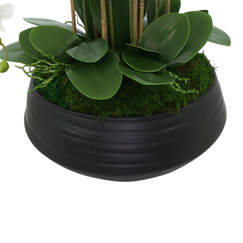 Orchid Centerpiece in Ceramic Pot, White
