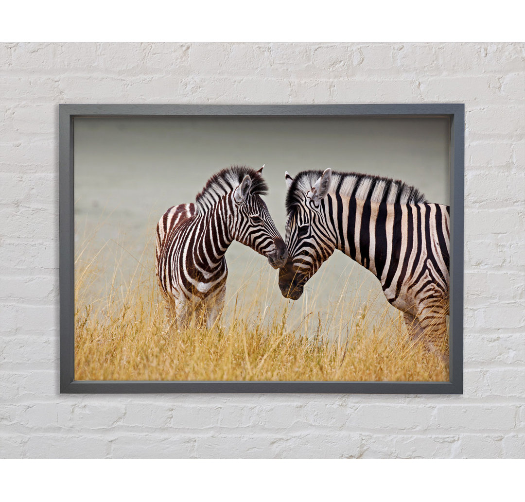 Mutter und Baby Zebra - Druck