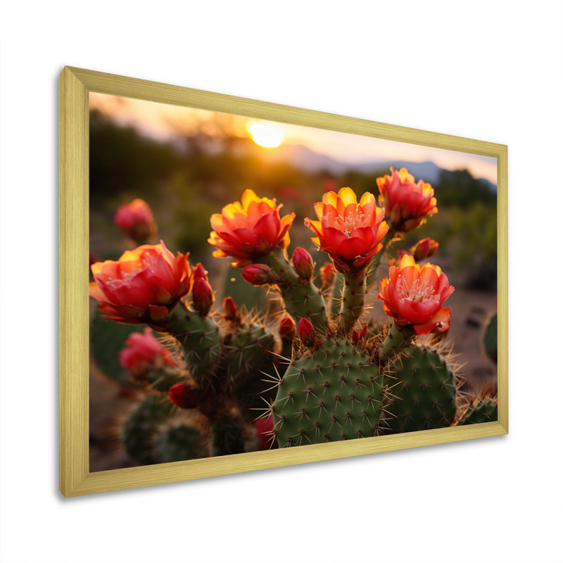 Champ de cactus rouge et vert avec coucher de soleil I - impression, Encadrement doré, H 12 po x l 20 po x P 1 po