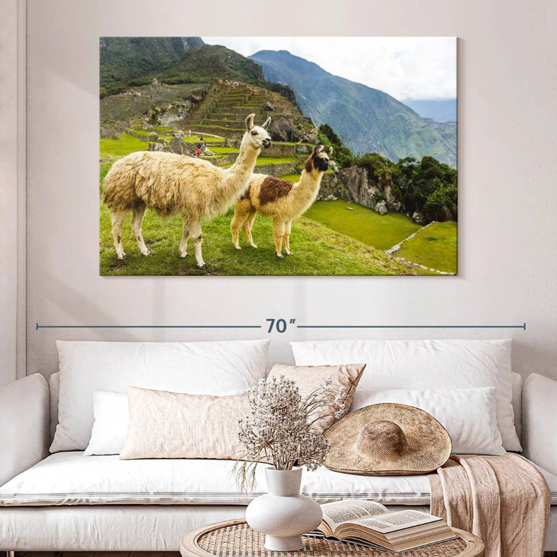 Lamas du Machu Picchu, H 34 po x l 51 po