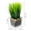 22.1cm Faux Onion Grass Grass in Glass Vase