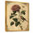 Toile avec cadre flottant or