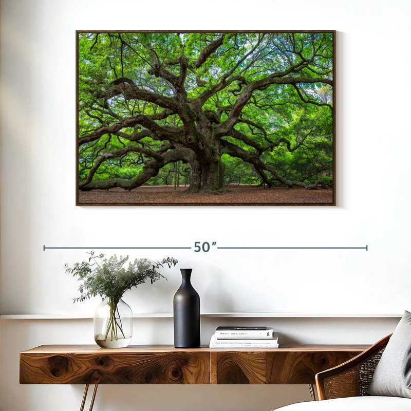 Vieux chêne, Cadre flottant noyer, 40 po x 27 po