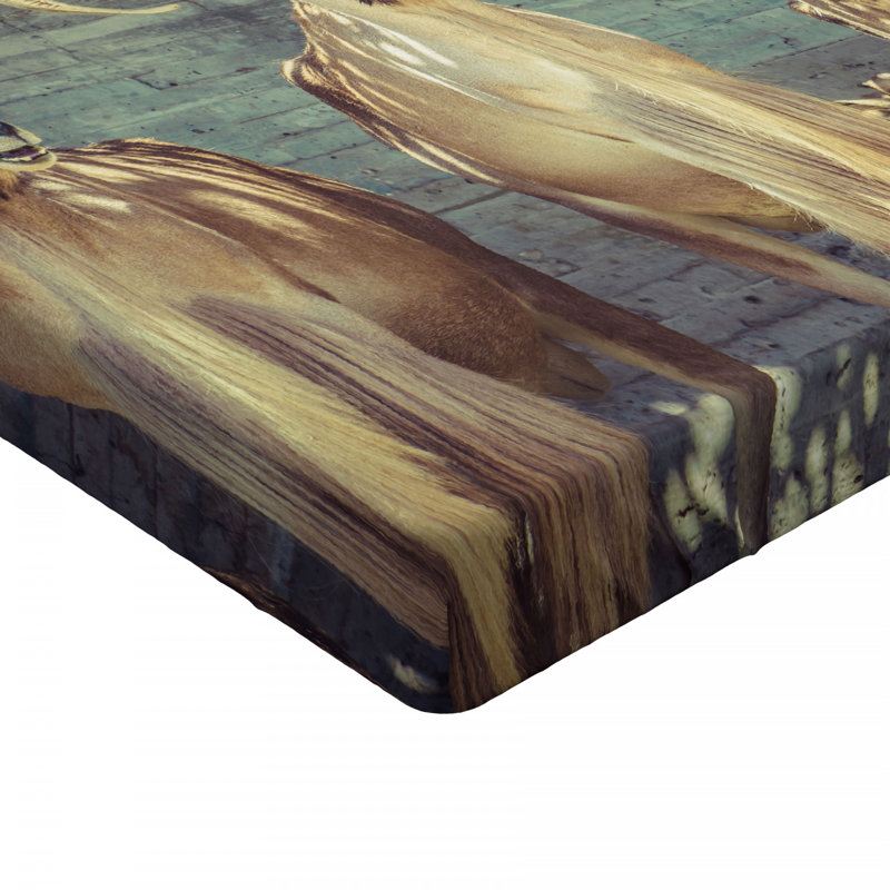 Microfiber Fitted Sheet, Full Fitted Sheet