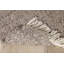 Ansgar Hand Woven Area Rug-1261547540