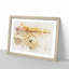 Birds on the Beach - Framed Print-56734050-56734051