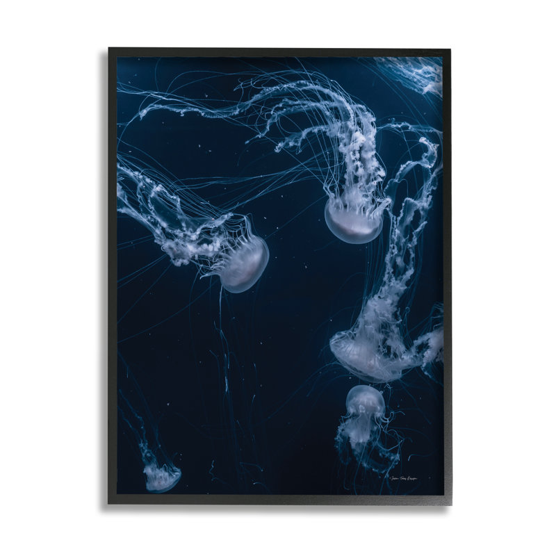 Scène de vie marine avec méduse froide, Giclée encadrée noir minuit, H 11 po x l 14 po