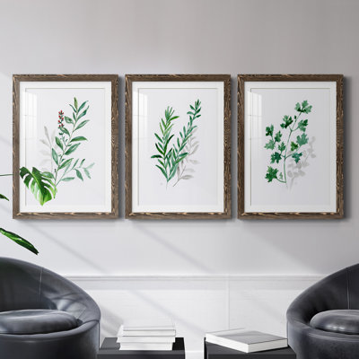 " Freshly Picked I " 3 Piece Art Painting