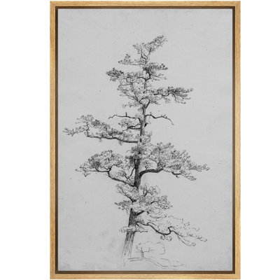 " Minimalist Tree Line Drawing Monochrome Sketch Illustrations Rustic French Country "