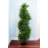 43'' Faux Cedar Topiary in Planter