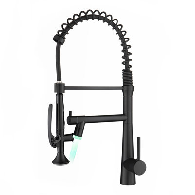 Fapully Pull Down Kitchen Faucet