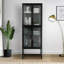 Angelene Metal Accent Cabinet-108308673