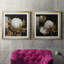Cotton Balls I - Cadre photo-1492861056-1492861057-1492861061
